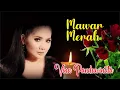 Download Lagu Vina Panduwinata ~ Mawar Merah (+ Lyrics by Request)