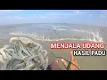 Download Lagu Menjala Ikan \u0026 Udang Laut | Hasil Padu Pantai Jeram, Selangor‼️ 