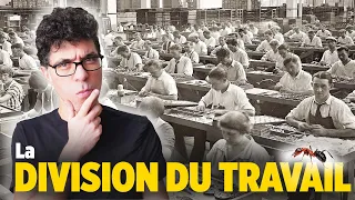 Peut-on travailler COMME DES FOURMIS ? 🐜 🐜 🐜