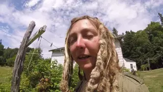 Episode 279 – Nervous Nellies and Deer Isle Hostel –  Life on a Sailboat Day 178