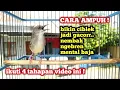 PENGEN PUNYA CIBLEK GACOR NGEBREN MENTAL BAJA BEGINI CARANYA!