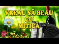 Download Lagu MUZICA DE PETRECERE 2021  – MITICA BLANDU SI FORMATIA ZORILE   2021  VREAU SA BEAU CU MITICA
