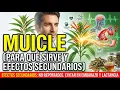 MUICLE USES AND SIDE EFFECTS