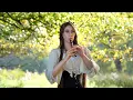 For the Love of a Princess (Braveheart Theme) - Celtic multi-instrumental