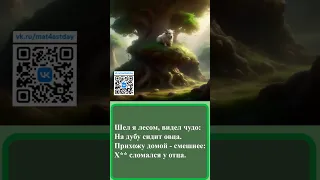 53 Частушки про овцу 