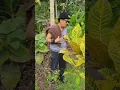 Download Lagu LANGIT LANGIT ROSO kang jan ts