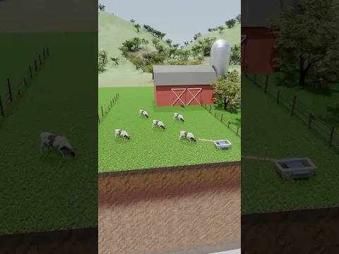 Cómo los árboles en los potreros protegen a las vacas del calor y ayudan a mantener la producción