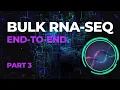 Bulk RNA-Seq Data Analysis End-to-End Part 3