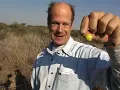 Nature Bats Last - Crocodile River