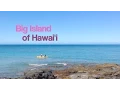 You Try Now Episode 12 Big Island