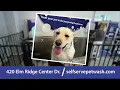 24 Hour Self serve Pet Wash Commercial - Rochester NY
