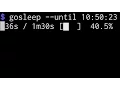 gosleep sleep human-readable with progress bar