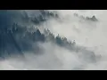 Denali I inola #music #cinematic #rest