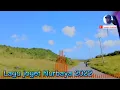 Download Lagu lagu joget Nurbaya ful bas 2022