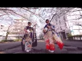 Download Lagu Shamisen Under The Cherry Blossoms 2017 - Ki\u0026Ki 輝\u0026輝 津軽三味線