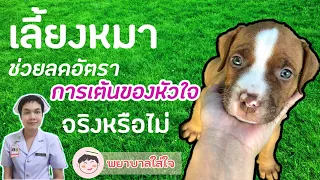 การเลี้ยงสุนัขมีผลต่อการนอนหลับอย่างไร