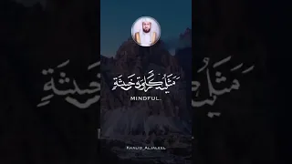 ألم تر كيف ضرب الله مثلا كلمة طيبة كشجرة طيبة تؤتي أكلها كل حين بإذن ربها خالد الجليل حالات قرآن 