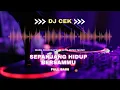 Download Lagu Dj cek sound sepanjang hidup bersamamu ‼️ full nerontok cek sound bass slow #ceksound #djsolawat #dj