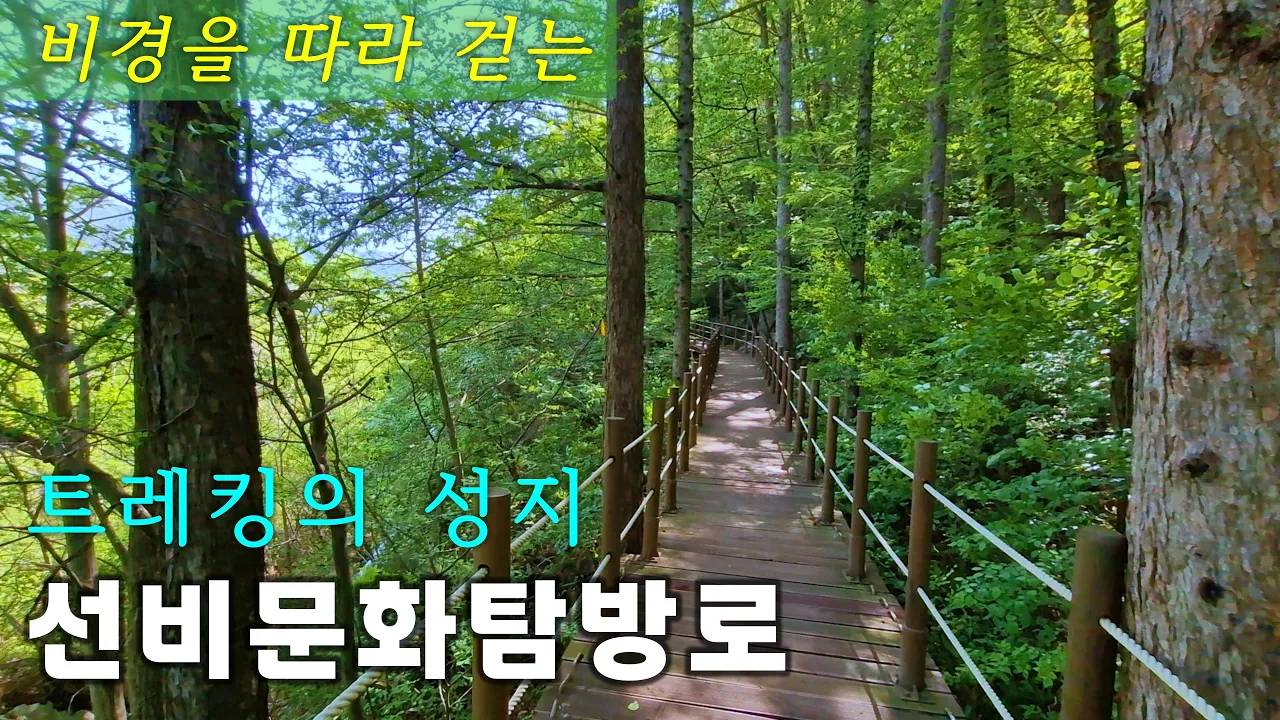 트레킹의 성지 - 계곡 비경과 7개의 정자를 따라 걷는 - 함양 선비문화탐방로 썸네일