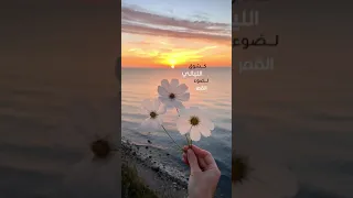 كشوق الليالي لضوء القمر اليباب لقطر المطرني في راحتينا الضياءنقء حبا لكل البشر 