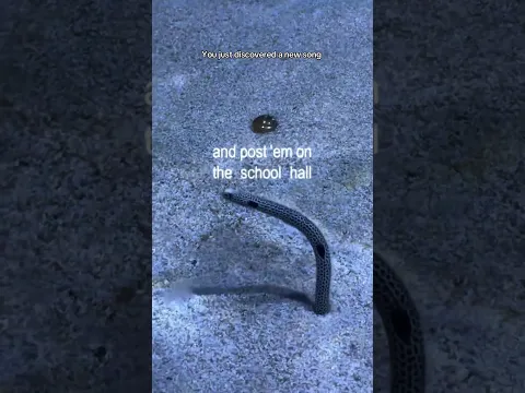 POV you just found a new song