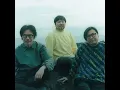 朝顔
