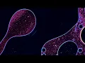 Robot Koch - The Next Billion Years Foam and Sand Reworks FULL ALBUM MIX