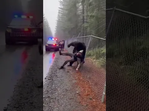 Terrifying Bear Encounter Caught on Trooper Dashcam!