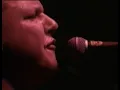 Pixies → Hey/Gigantic (live)