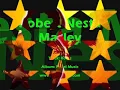 Bob Marley  -  Roots Natty Roots *lyrics*