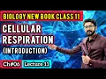 Cellular Respiration Class 11 Aerobic Anaerobic Respiration Biology New Book