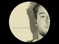 Harry Wolfman - Downstream EP (Dirt Crew Recordings)