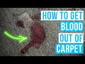 How to GET BLOOD OUT OF CARPET Hydrogen peroxide for stains
