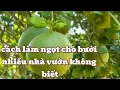 Download Lagu \