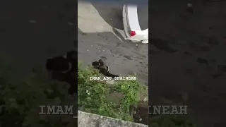 ابراهيم النابلسي نقولك مبارك 