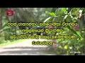 Download Lagu Kuliyapitiya garbage Management Programme | jica programme | Rupavahini
