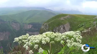 اغنية يا رب يا مالك الورى دندنها