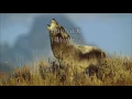 Kontra-K - Wölfe [Lyrics Video]