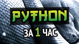 Learn Python in 1 Hour Remake