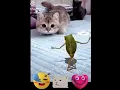Download Lagu crow dance/ hasna mana hai/ billi reaction please wacth
