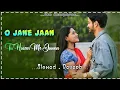 O Jaane Ja Tu Haseen Me Jawan [Slowed And Reverb] Lo-fi Song 90s Bollywood Old Song Sanny Deol 2025
