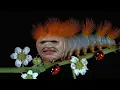 Download Lagu Aphex Twin - The Waxen Pith [Music Video]
