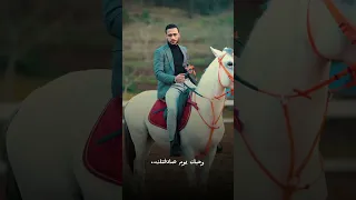 قالوا عن الخيل الدهم د هم الخيل ملوكها خيل محمد أبوحلقة 