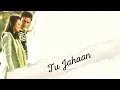 Download Lagu Tu Jahaan Terjemahan Indonesia Salaam Namaste