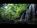 Download Lagu Relaxing Javanese - Meditation Music, Indonesian Music, Music to Sleep [Gamelan Vibes]