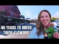 Download Lagu I Finally Found the Plant Everyone’s Talking About | Garden Center Haul 🌿🤩💞