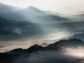 "Birds Requiem" by Dhafer Youssef