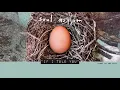 Download Lagu Soul Asylum - Hurry Up and Wait [FULL ALBUM VISUALIZER]
