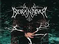 Borknagar - The Genuine Pulse - Empiricism [AUDIO]