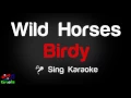 🎤 Birdy - Wild Horses Karaoke Version - King Of Karaoke